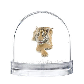 Снежный шар с принтом Ласковый тигренок в Екатеринбурге, Пластик | Изображение внутри шара печатается на глянцевой фотобумаге с двух сторон | Тематика изображения на принте: дикие | милые | природа | тигр | яркие