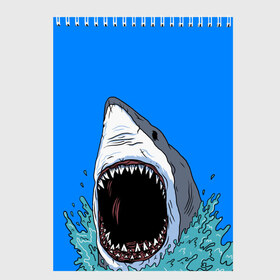 Скетчбук с принтом shark в Екатеринбурге, 100% бумага
 | 48 листов, плотность листов — 100 г/м2, плотность картонной обложки — 250 г/м2. Листы скреплены сверху удобной пружинной спиралью | fish | ocean | shark | water | акула | море | океан | рыба