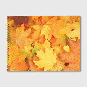 Альбом для рисования с принтом Листья в Екатеринбурге, 100% бумага
 | матовая бумага, плотность 200 мг. | листья | осень