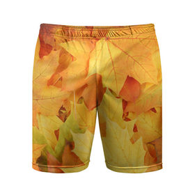 Мужские шорты 3D спортивные с принтом Листья в Екатеринбурге,  |  | листья | осень