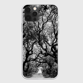 Чехол для iPhone 12 Pro Max с принтом Деревья в Екатеринбурге, Силикон |  | black   white | crown | curly | forest | park | path | photo | thick | trees | деревья | дорожка | дремучий | крона | кудрявая | лес | парк | фото | черно   белое