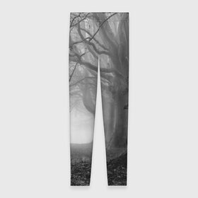 Леггинсы 3D с принтом Туман в лесу в Екатеринбурге, 80% полиэстер, 20% эластан | Эластичный пояс, зауженные к низу, низкая посадка | black   white | fog | forest | morning | photo | silhouette | trees | деревья | лес | силуэт | туман | утро | фото | черно   белое