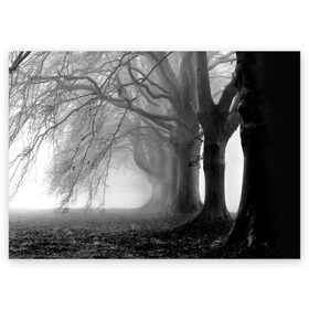 Поздравительная открытка с принтом Туман в лесу в Екатеринбурге, 100% бумага | плотность бумаги 280 г/м2, матовая, на обратной стороне линовка и место для марки
 | black   white | fog | forest | morning | photo | silhouette | trees | деревья | лес | силуэт | туман | утро | фото | черно   белое