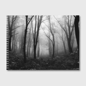 Альбом для рисования с принтом Туман в лесу в Екатеринбурге, 100% бумага
 | матовая бумага, плотность 200 мг. | black   white | fog | forest | morning | photo | silhouette | trees | деревья | лес | силуэт | туман | утро | фото | черно   белое