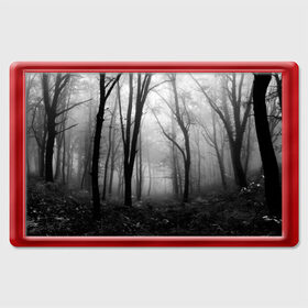 Магнит 45*70 с принтом Туман в лесу в Екатеринбурге, Пластик | Размер: 78*52 мм; Размер печати: 70*45 | black   white | fog | forest | morning | photo | silhouette | trees | деревья | лес | силуэт | туман | утро | фото | черно   белое