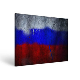 Холст прямоугольный с принтом Триколор (Краской на земле) в Екатеринбурге, 100% ПВХ |  | Тематика изображения на принте: russia | белый | красный | российский флаг | россия | синий | триколор