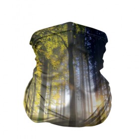Бандана-труба 3D с принтом Утро в лесу в Екатеринбурге, 100% полиэстер, ткань с особыми свойствами — Activecool | плотность 150‒180 г/м2; хорошо тянется, но сохраняет форму | bright | fog | forest | morning | sun | tree | trees | дерево | деревья | лес | солнце | туман | утро | яркое