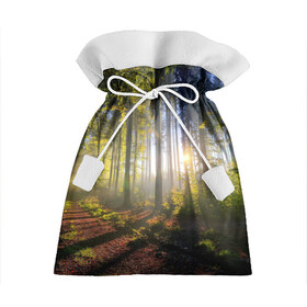 Подарочный 3D мешок с принтом Утро в лесу в Екатеринбурге, 100% полиэстер | Размер: 29*39 см | Тематика изображения на принте: bright | fog | forest | morning | sun | tree | trees | дерево | деревья | лес | солнце | туман | утро | яркое