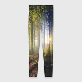 Леггинсы 3D с принтом Утро в лесу в Екатеринбурге, 80% полиэстер, 20% эластан | Эластичный пояс, зауженные к низу, низкая посадка | bright | fog | forest | morning | sun | tree | trees | дерево | деревья | лес | солнце | туман | утро | яркое