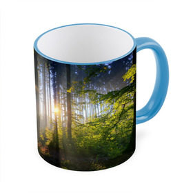 Кружка 3D с принтом Утро в лесу в Екатеринбурге, керамика | ёмкость 330 мл | bright | fog | forest | morning | sun | tree | trees | дерево | деревья | лес | солнце | туман | утро | яркое