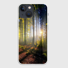 Чехол для iPhone 13 mini с принтом Утро в лесу в Екатеринбурге,  |  | bright | fog | forest | morning | sun | tree | trees | дерево | деревья | лес | солнце | туман | утро | яркое