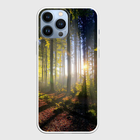 Чехол для iPhone 13 Pro Max с принтом Утро в лесу в Екатеринбурге,  |  | bright | fog | forest | morning | sun | tree | trees | дерево | деревья | лес | солнце | туман | утро | яркое