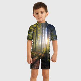 Детский купальный костюм 3D с принтом Утро в лесу в Екатеринбурге, Полиэстер 85%, Спандекс 15% | застежка на молнии на спине | bright | fog | forest | morning | sun | tree | trees | дерево | деревья | лес | солнце | туман | утро | яркое