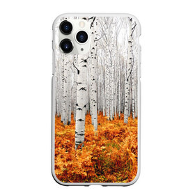 Чехол для iPhone 11 Pro Max матовый с принтом Березовая роща в Екатеринбурге, Силикон |  | birch | birch grove | ferns | forest | trees | березовая | березы | деревья | лес | папоротник | роща