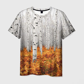 Мужская футболка 3D с принтом Березовая роща в Екатеринбурге, 100% полиэфир | прямой крой, круглый вырез горловины, длина до линии бедер | birch | birch grove | ferns | forest | trees | березовая | березы | деревья | лес | папоротник | роща
