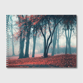 Альбом для рисования с принтом Осень в Екатеринбурге, 100% бумага
 | матовая бумага, плотность 200 мг. | autumn | bright | colors | forest | paint | trees | деревья | краски | лес | осень | цвета | яркие