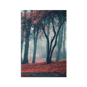 Обложка для паспорта матовая кожа с принтом Осень в Екатеринбурге, натуральная матовая кожа | размер 19,3 х 13,7 см; прозрачные пластиковые крепления | autumn | bright | colors | forest | paint | trees | деревья | краски | лес | осень | цвета | яркие