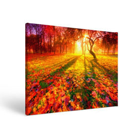 Холст прямоугольный с принтом Осень в Екатеринбурге, 100% ПВХ |  | autumn | bright | colors | forest | trees | деревья | краски | лес | лучи | осень | солнце | цвета | яркие
