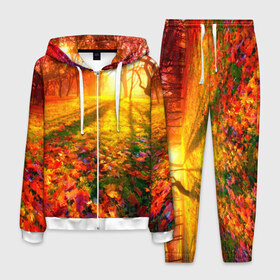 Мужской костюм 3D с принтом Осень в Екатеринбурге, 100% полиэстер | Манжеты и пояс оформлены тканевой резинкой, двухслойный капюшон со шнурком для регулировки, карманы спереди | autumn | bright | colors | forest | trees | деревья | краски | лес | лучи | осень | солнце | цвета | яркие