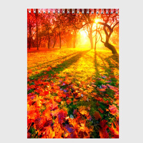 Скетчбук с принтом Осень в Екатеринбурге, 100% бумага
 | 48 листов, плотность листов — 100 г/м2, плотность картонной обложки — 250 г/м2. Листы скреплены сверху удобной пружинной спиралью | autumn | bright | colors | forest | trees | деревья | краски | лес | лучи | осень | солнце | цвета | яркие