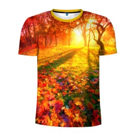 Мужская футболка 3D спортивная с принтом Осень в Екатеринбурге, 100% полиэстер с улучшенными характеристиками | приталенный силуэт, круглая горловина, широкие плечи, сужается к линии бедра | autumn | bright | colors | forest | trees | деревья | краски | лес | лучи | осень | солнце | цвета | яркие