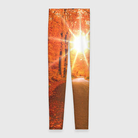 Леггинсы 3D с принтом Осеннее солнце в Екатеринбурге, 80% полиэстер, 20% эластан | Эластичный пояс, зауженные к низу, низкая посадка | autumn | bright | colors | forest | trees | деревья | дорога | краски | лес | лучи | осень | солнце | цвета | яркие