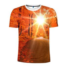 Мужская футболка 3D спортивная с принтом Осеннее солнце в Екатеринбурге, 100% полиэстер с улучшенными характеристиками | приталенный силуэт, круглая горловина, широкие плечи, сужается к линии бедра | autumn | bright | colors | forest | trees | деревья | дорога | краски | лес | лучи | осень | солнце | цвета | яркие