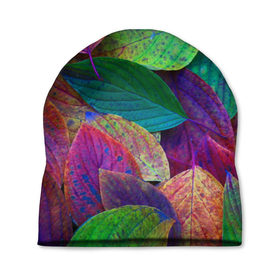 Шапка 3D с принтом Осень в Екатеринбурге, 100% полиэстер | универсальный размер, печать по всей поверхности изделия | autumn | bright | color | forest | leaves | paint | trees | деревья | краски | лес | листья | осень | цвета | яркие
