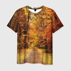 Мужская футболка 3D с принтом Осень в Екатеринбурге, 100% полиэфир | прямой крой, круглый вырез горловины, длина до линии бедер | autumn | bright | colors | forest | paint | trees | деревья | краски | лес | осень | цвета | яркие