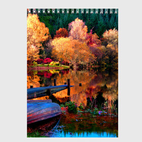Скетчбук с принтом Осень в Екатеринбурге, 100% бумага
 | 48 листов, плотность листов — 100 г/м2, плотность картонной обложки — 250 г/м2. Листы скреплены сверху удобной пружинной спиралью | autumn | boat | bright | colors | forest | paint | river | trees | деревья | краски | лес | лодка | осень | река | цвета | яркие