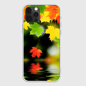 Чехол для iPhone 12 Pro Max с принтом Осень в Екатеринбурге, Силикон |  | autumn | bright | color | forest | leaves | maple | paint | reflection | river | trees | деревья | клён | краски | лес | листья | осень | отражение | река | цвета | яркие