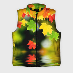 Мужской жилет утепленный 3D с принтом Осень в Екатеринбурге,  |  | autumn | bright | color | forest | leaves | maple | paint | reflection | river | trees | деревья | клён | краски | лес | листья | осень | отражение | река | цвета | яркие