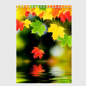 Скетчбук с принтом Осень в Екатеринбурге, 100% бумага
 | 48 листов, плотность листов — 100 г/м2, плотность картонной обложки — 250 г/м2. Листы скреплены сверху удобной пружинной спиралью | autumn | bright | color | forest | leaves | maple | paint | reflection | river | trees | деревья | клён | краски | лес | листья | осень | отражение | река | цвета | яркие