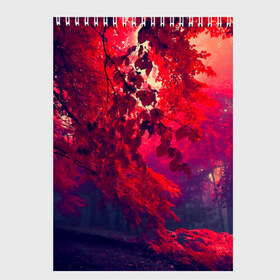 Скетчбук с принтом Осень в Екатеринбурге, 100% бумага
 | 48 листов, плотность листов — 100 г/м2, плотность картонной обложки — 250 г/м2. Листы скреплены сверху удобной пружинной спиралью | autumn | bright | colors | forest | trees | деревья | краски | лес | лучи | осень | солнце | цвета | яркие