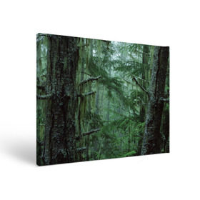 Холст прямоугольный с принтом Дремучий лес в Екатеринбурге, 100% ПВХ |  | camouflage | dense | fog | forest | spruce | tree | дремучий | ёлка | ельник | камуфляж | лес | маскировка | туман