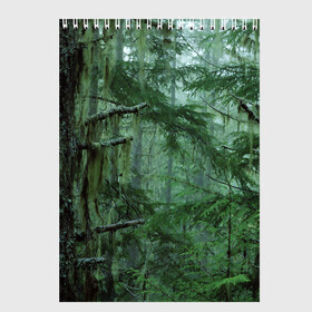 Скетчбук с принтом Дремучий лес в Екатеринбурге, 100% бумага
 | 48 листов, плотность листов — 100 г/м2, плотность картонной обложки — 250 г/м2. Листы скреплены сверху удобной пружинной спиралью | camouflage | dense | fog | forest | spruce | tree | дремучий | ёлка | ельник | камуфляж | лес | маскировка | туман