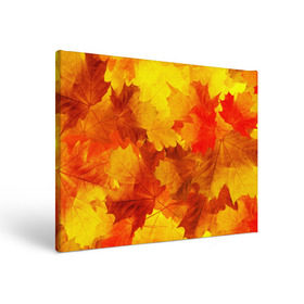 Холст прямоугольный с принтом Осень в Екатеринбурге, 100% ПВХ |  | autumn | bright | color | forest | leaves | maple | paint | trees | деревья | клен | краски | лес | листья | осень | цвета | яркие