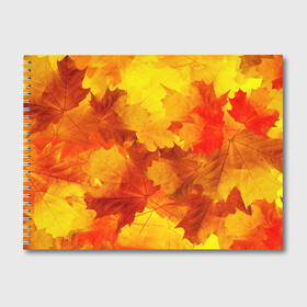 Альбом для рисования с принтом Осень в Екатеринбурге, 100% бумага
 | матовая бумага, плотность 200 мг. | autumn | bright | color | forest | leaves | maple | paint | trees | деревья | клен | краски | лес | листья | осень | цвета | яркие