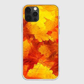 Чехол для iPhone 12 Pro Max с принтом Осень в Екатеринбурге, Силикон |  | autumn | bright | color | forest | leaves | maple | paint | trees | деревья | клен | краски | лес | листья | осень | цвета | яркие