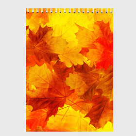 Скетчбук с принтом Осень в Екатеринбурге, 100% бумага
 | 48 листов, плотность листов — 100 г/м2, плотность картонной обложки — 250 г/м2. Листы скреплены сверху удобной пружинной спиралью | autumn | bright | color | forest | leaves | maple | paint | trees | деревья | клен | краски | лес | листья | осень | цвета | яркие