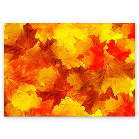 Поздравительная открытка с принтом Осень в Екатеринбурге, 100% бумага | плотность бумаги 280 г/м2, матовая, на обратной стороне линовка и место для марки
 | autumn | bright | color | forest | leaves | maple | paint | trees | деревья | клен | краски | лес | листья | осень | цвета | яркие