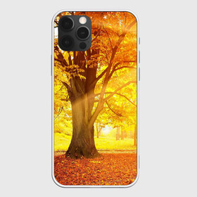 Чехол для iPhone 12 Pro Max с принтом Осень в Екатеринбурге, Силикон |  | autumn | bright | colors | forest | paint | trees | деревья | краски | лес | осень | цвета | яркие