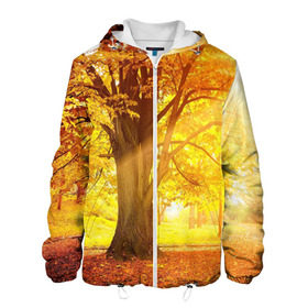 Мужская куртка 3D с принтом Осень в Екатеринбурге, ткань верха — 100% полиэстер, подклад — флис | прямой крой, подол и капюшон оформлены резинкой с фиксаторами, два кармана без застежек по бокам, один большой потайной карман на груди. Карман на груди застегивается на липучку | Тематика изображения на принте: autumn | bright | colors | forest | paint | trees | деревья | краски | лес | осень | цвета | яркие