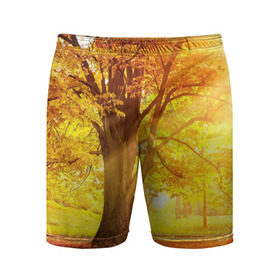 Мужские шорты 3D спортивные с принтом Осень в Екатеринбурге,  |  | Тематика изображения на принте: autumn | bright | colors | forest | paint | trees | деревья | краски | лес | осень | цвета | яркие