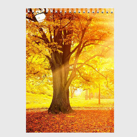 Скетчбук с принтом Осень в Екатеринбурге, 100% бумага
 | 48 листов, плотность листов — 100 г/м2, плотность картонной обложки — 250 г/м2. Листы скреплены сверху удобной пружинной спиралью | autumn | bright | colors | forest | paint | trees | деревья | краски | лес | осень | цвета | яркие