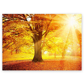 Поздравительная открытка с принтом Осень в Екатеринбурге, 100% бумага | плотность бумаги 280 г/м2, матовая, на обратной стороне линовка и место для марки
 | autumn | bright | colors | forest | paint | trees | деревья | краски | лес | осень | цвета | яркие