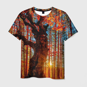 Мужская футболка 3D с принтом Осень в Екатеринбурге, 100% полиэфир | прямой крой, круглый вырез горловины, длина до линии бедер | autumn | bright | colors | forest | trees | деревья | краски | лес | лучи | осень | солнце | цвета | яркие