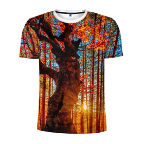 Мужская футболка 3D спортивная с принтом Осень в Екатеринбурге, 100% полиэстер с улучшенными характеристиками | приталенный силуэт, круглая горловина, широкие плечи, сужается к линии бедра | autumn | bright | colors | forest | trees | деревья | краски | лес | лучи | осень | солнце | цвета | яркие