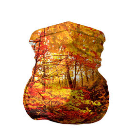 Бандана-труба 3D с принтом Осень в Екатеринбурге, 100% полиэстер, ткань с особыми свойствами — Activecool | плотность 150‒180 г/м2; хорошо тянется, но сохраняет форму | autumn | bright | colors | forest | paint | trees | деревья | краски | лес | осень | цвета | яркие