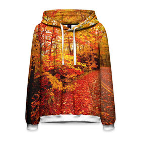 Мужская толстовка 3D с принтом Осень в Екатеринбурге, 100% полиэстер | двухслойный капюшон со шнурком для регулировки, мягкие манжеты на рукавах и по низу толстовки, спереди карман-кенгуру с мягким внутренним слоем. | Тематика изображения на принте: autumn | bright | colors | forest | paint | trees | деревья | краски | лес | осень | цвета | яркие